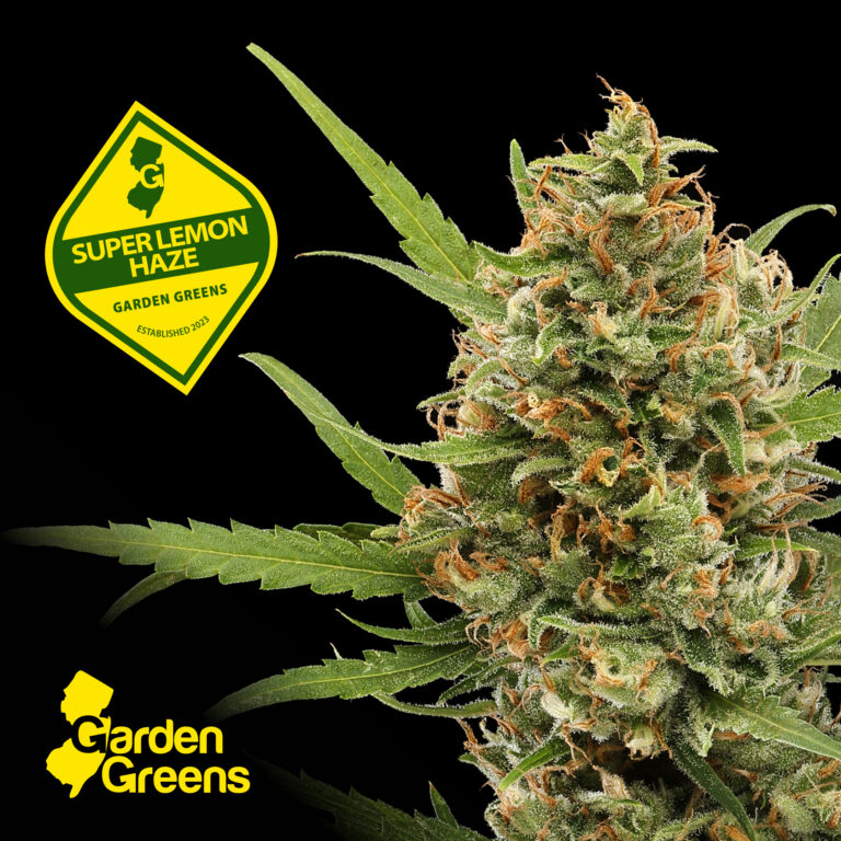 Garden Green_SuperLemonHaze